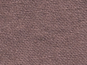 麻 染色例[画像]