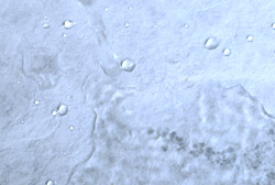 和紙・撥水加工前 - シンコーの撥水加工サービス